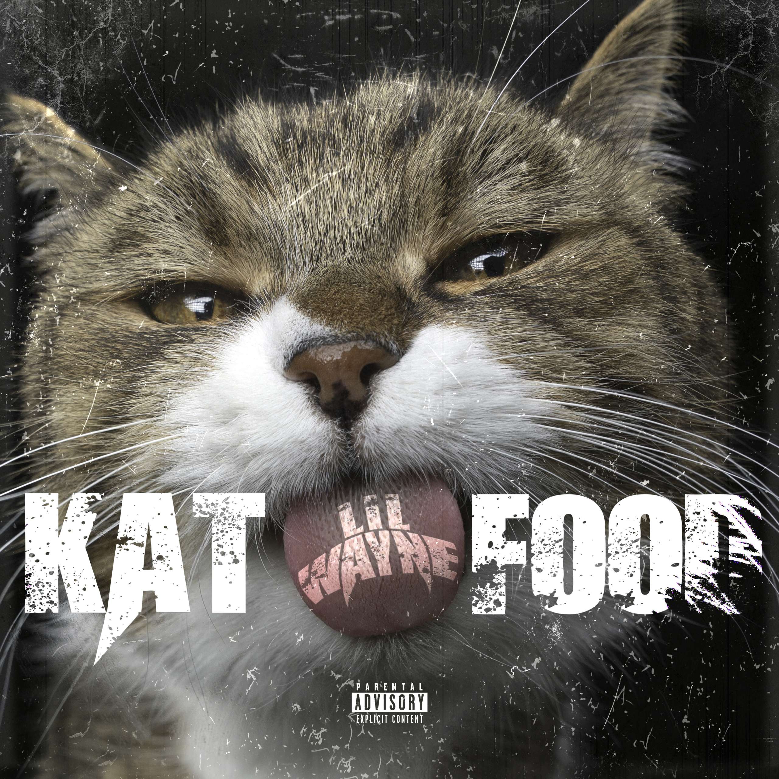 Music Icon Lil Wayne Releases New Single “Kat Food”