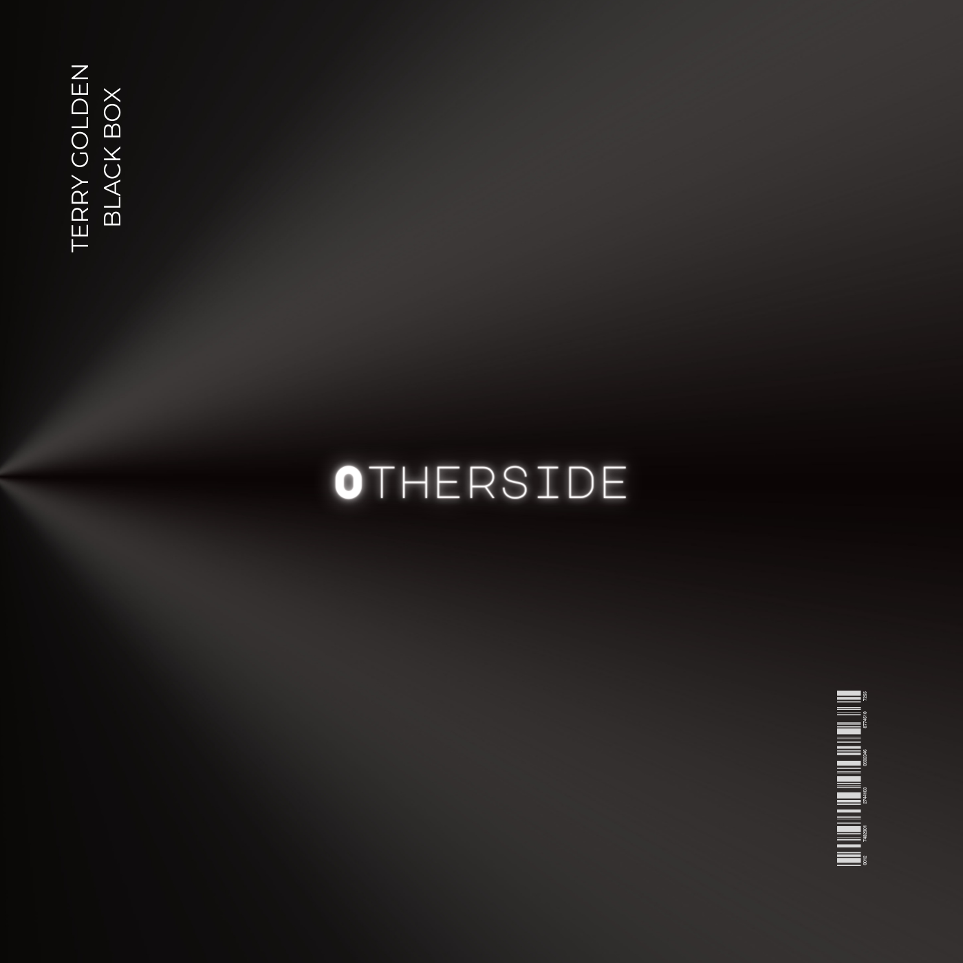 Terry Golden's Latest Release 'Otherside' Promises High-Octane Energy and Party Vibes