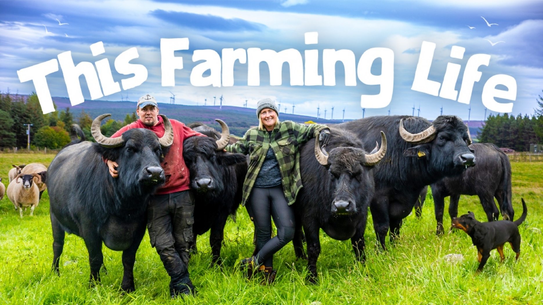 BBC Factual announces the return of Saving Lives... , Murder 24/7 and This Farming Life