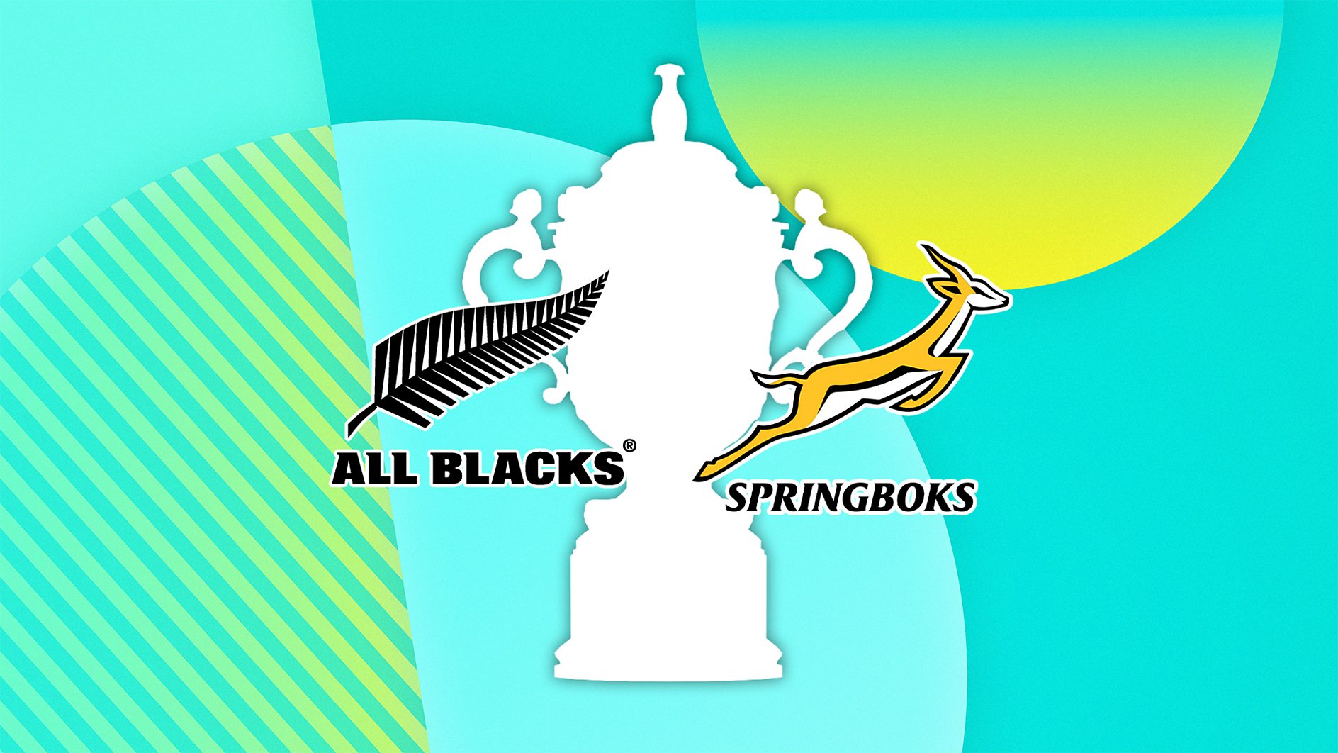 Rugby World Cup Final 2023 - How to follow New Zealand v South Africa live across the BBC TODAY