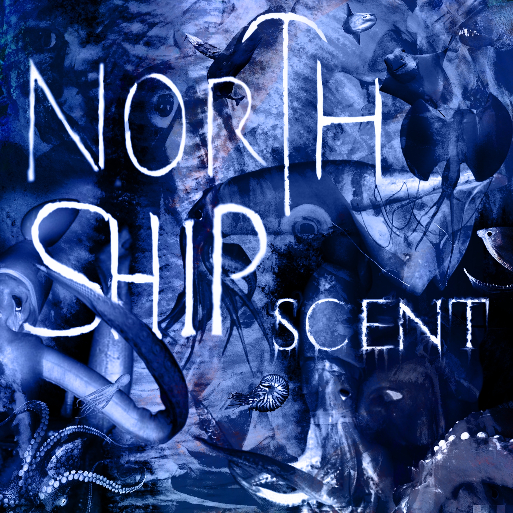 North Ship Smash It With New Single, ‘Scent’