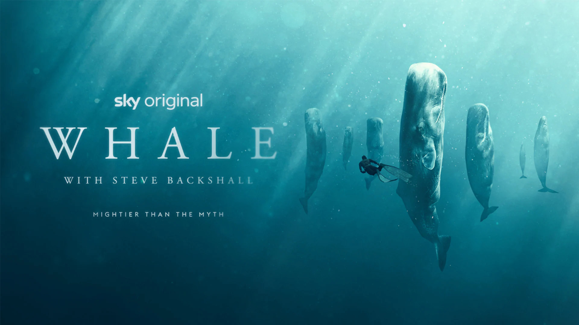 Sky Nature dives deep into uncharted ocean territories in Whale coming this December