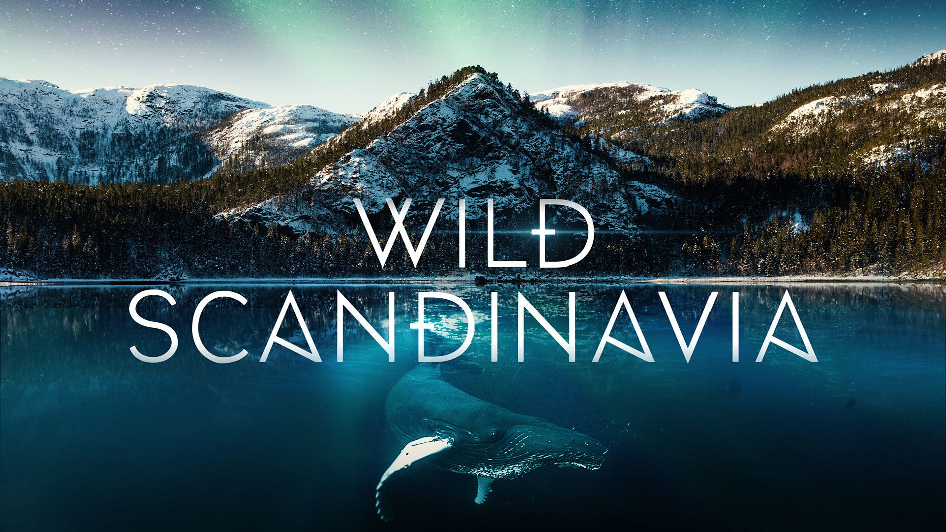 Wild Scandinavia: discover the furthest northern reaches of Europe with narrator Rebecca Ferguson