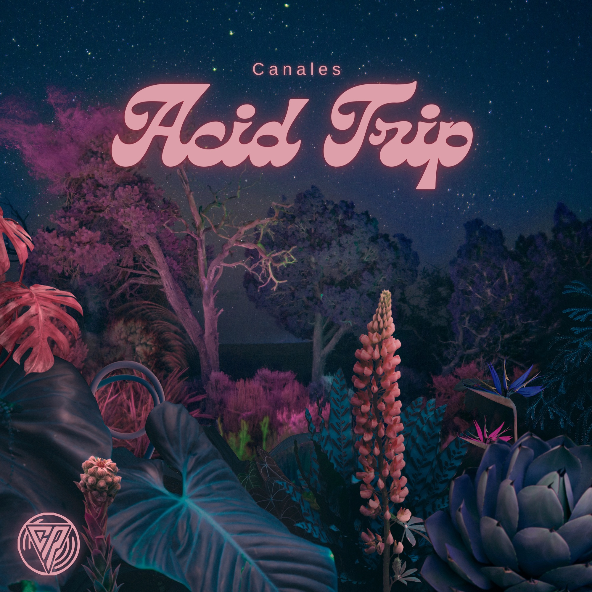 Canales' New Track 'Acid Trip' Delivers an Enthralling Listening Experience