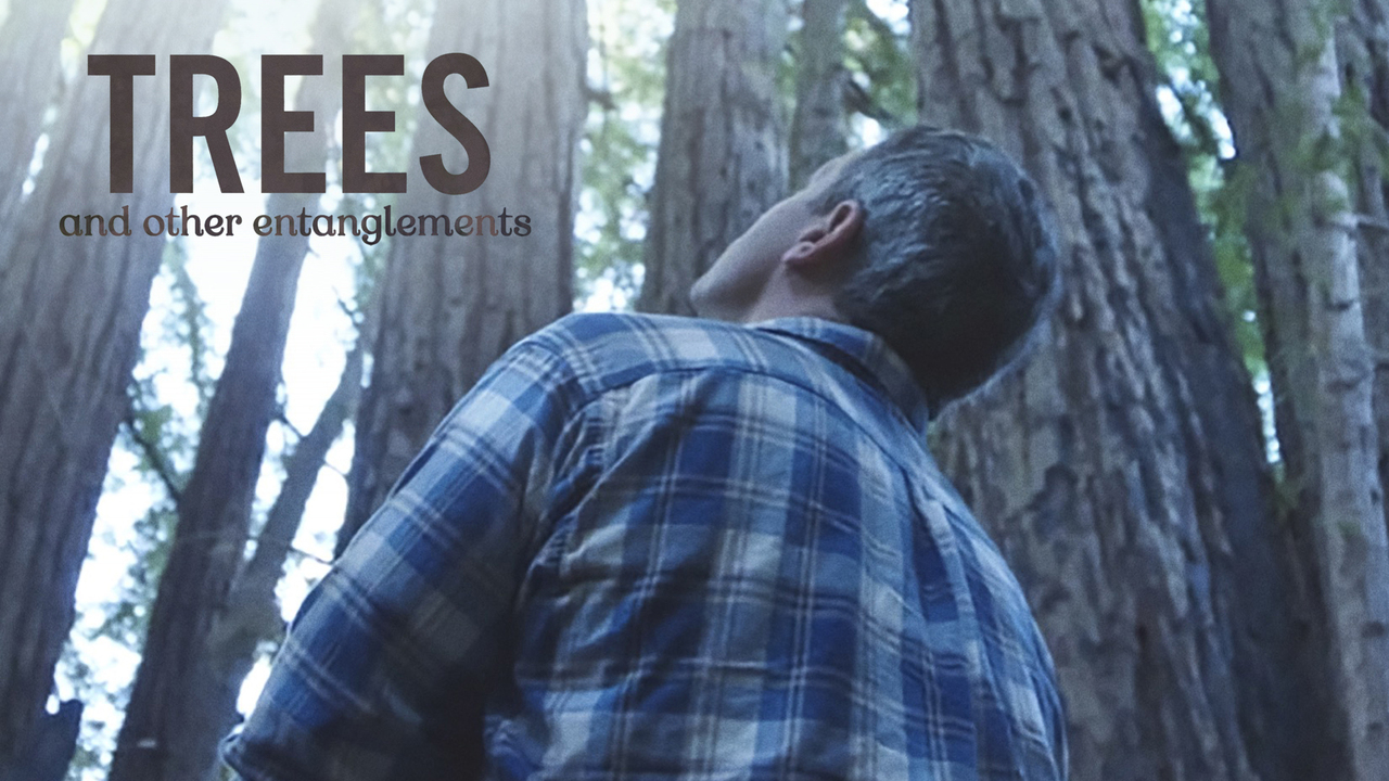HBO Original Documentary "Trees and Other Entanglements" Debuts December 12