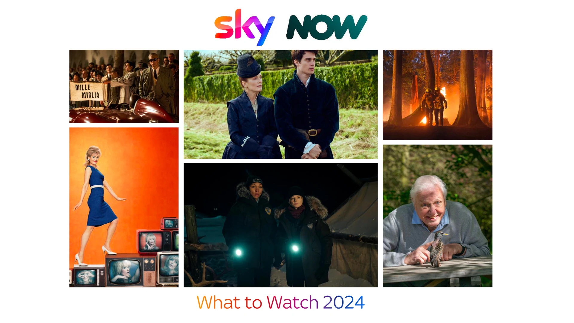 Sky & NOW What to Watch 2024 News on News