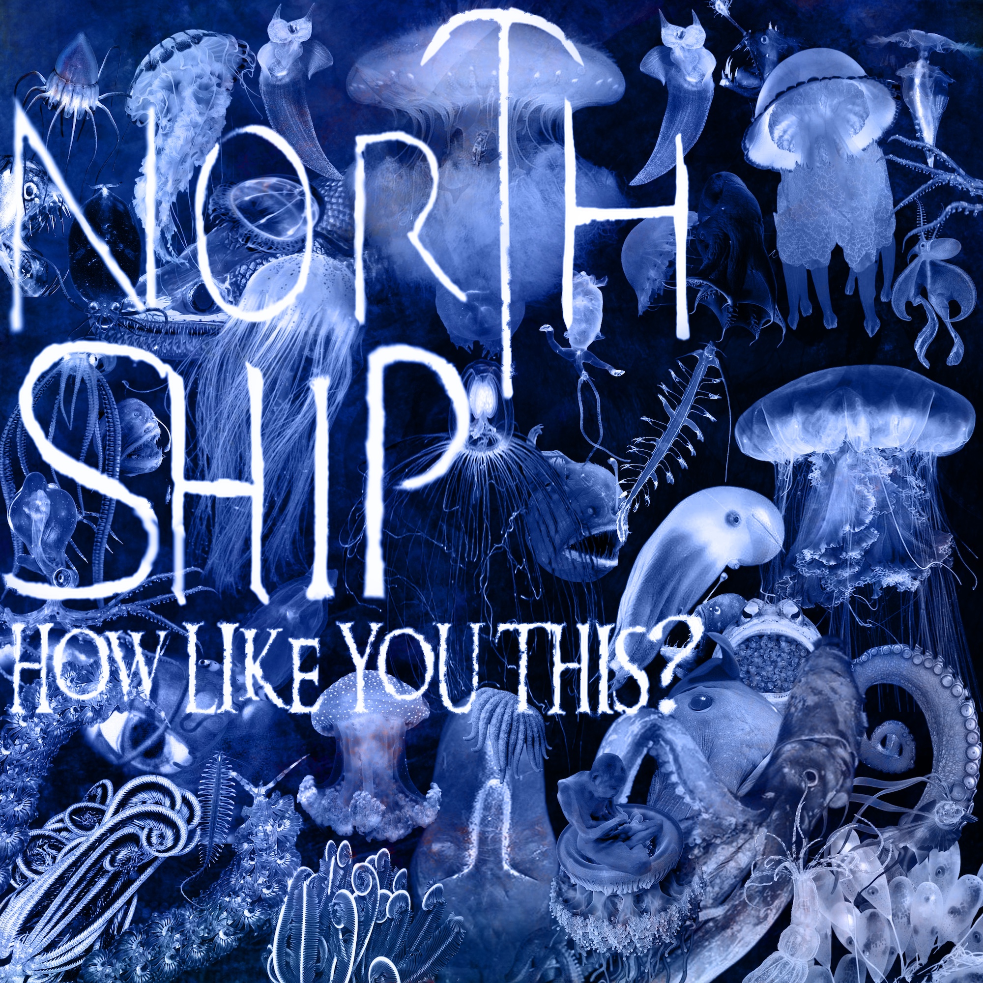 North Ship To Release New Single, “How Like You This?”