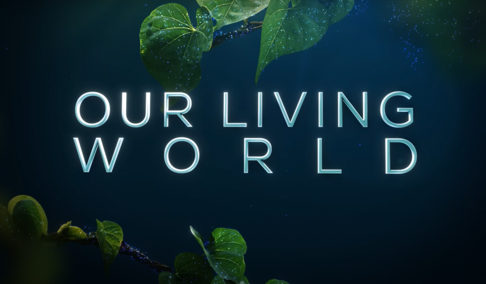 Netflix Shares Trailer For 'Our Living World', Narrated By Cate Blanchett
