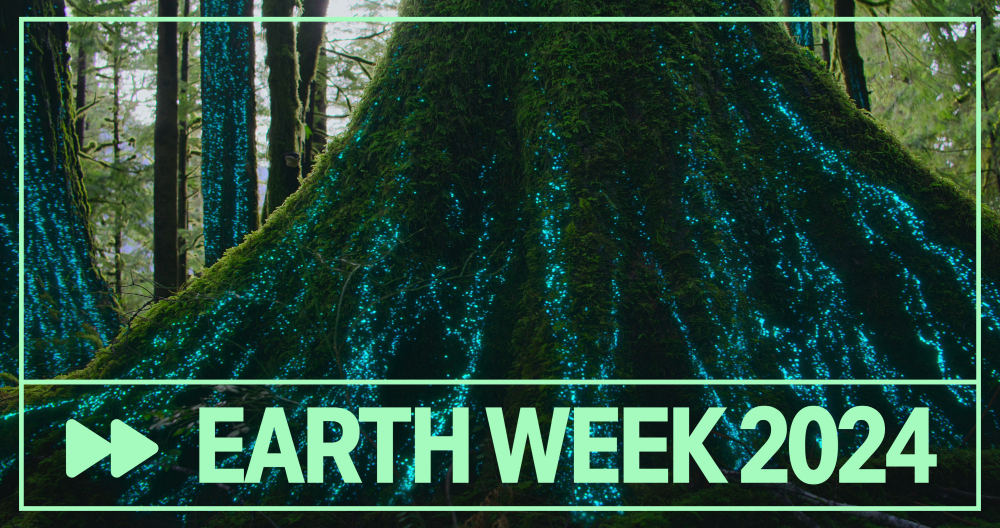 Inspiring Sustainability Stories From Every Genre to Celebrate Earth Week