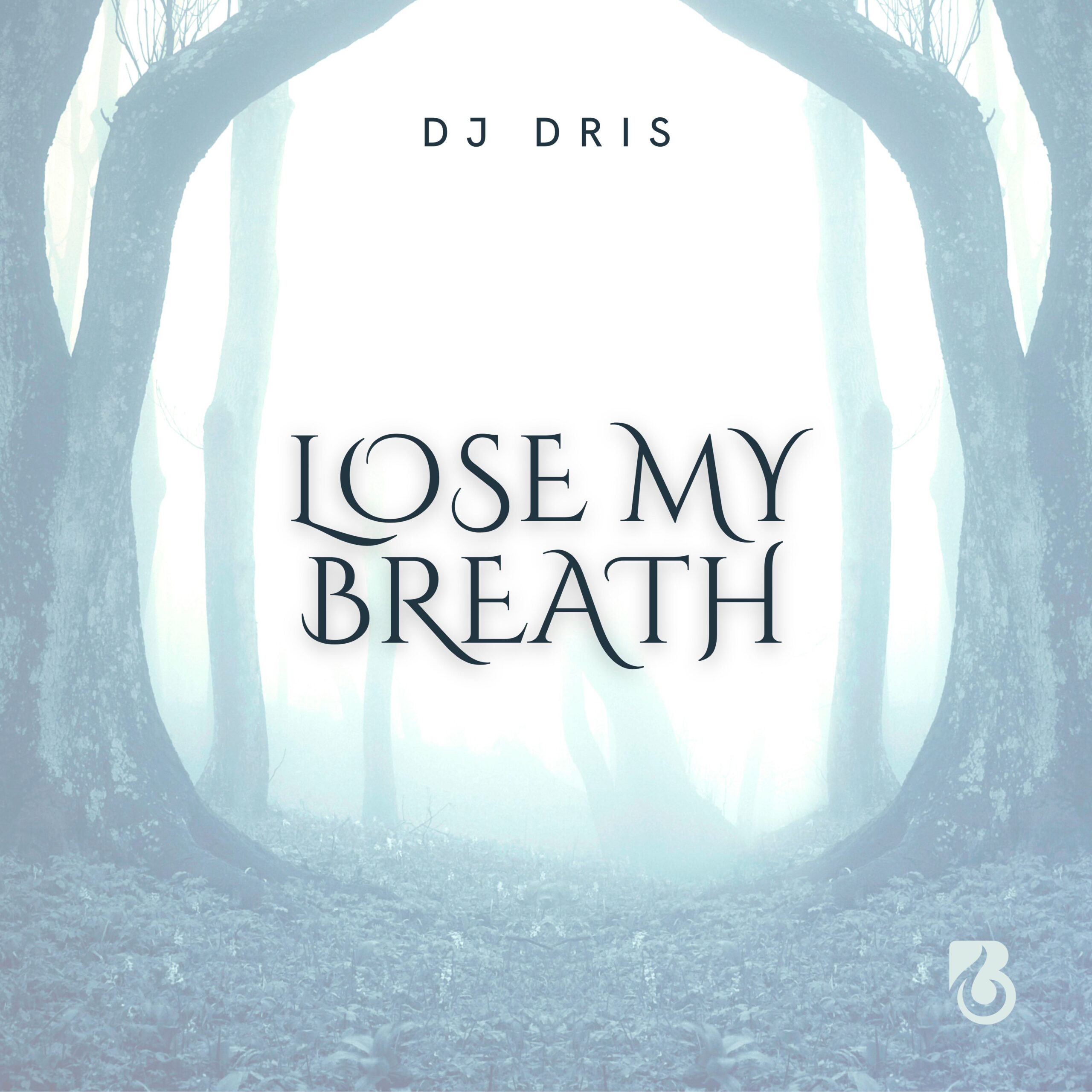 Introducing 'Lose My Breath': the Newest Production From the Talented DJ Dris
