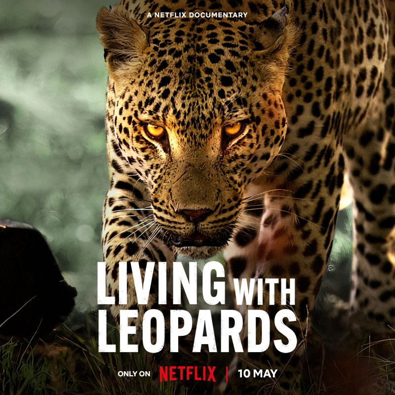 Netflix Shares Trailer For 'Living with Leopards'