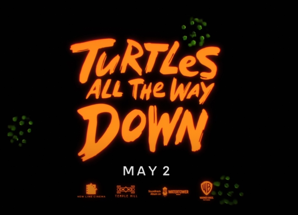 TURTLES ALL THE WAY DOWN Debuts May 2 On Max