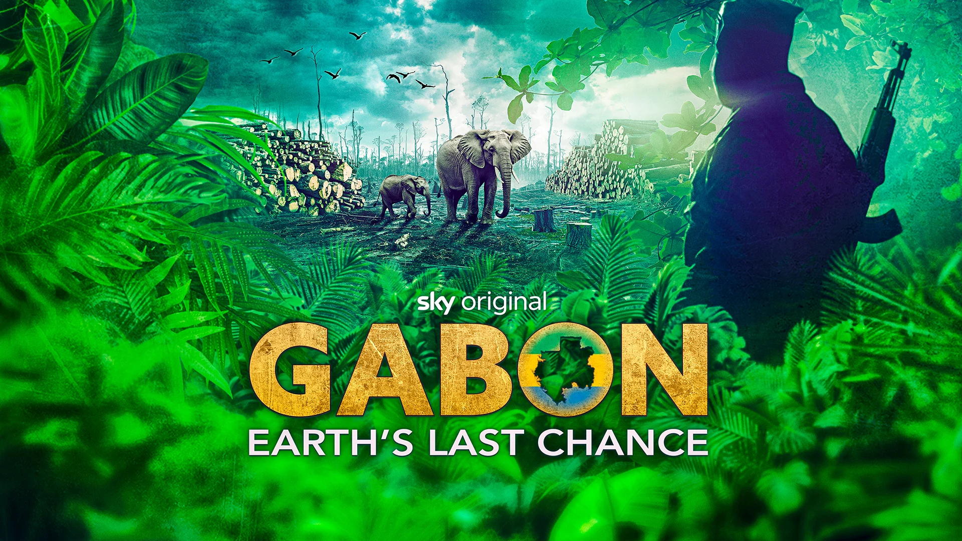 Sky Documentaries announces ‘enviro-thriller’ documentary ‘Gabon: Earth’s Last Chance’