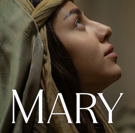 Netflix releases the official trailer for MARY - stream from December 6