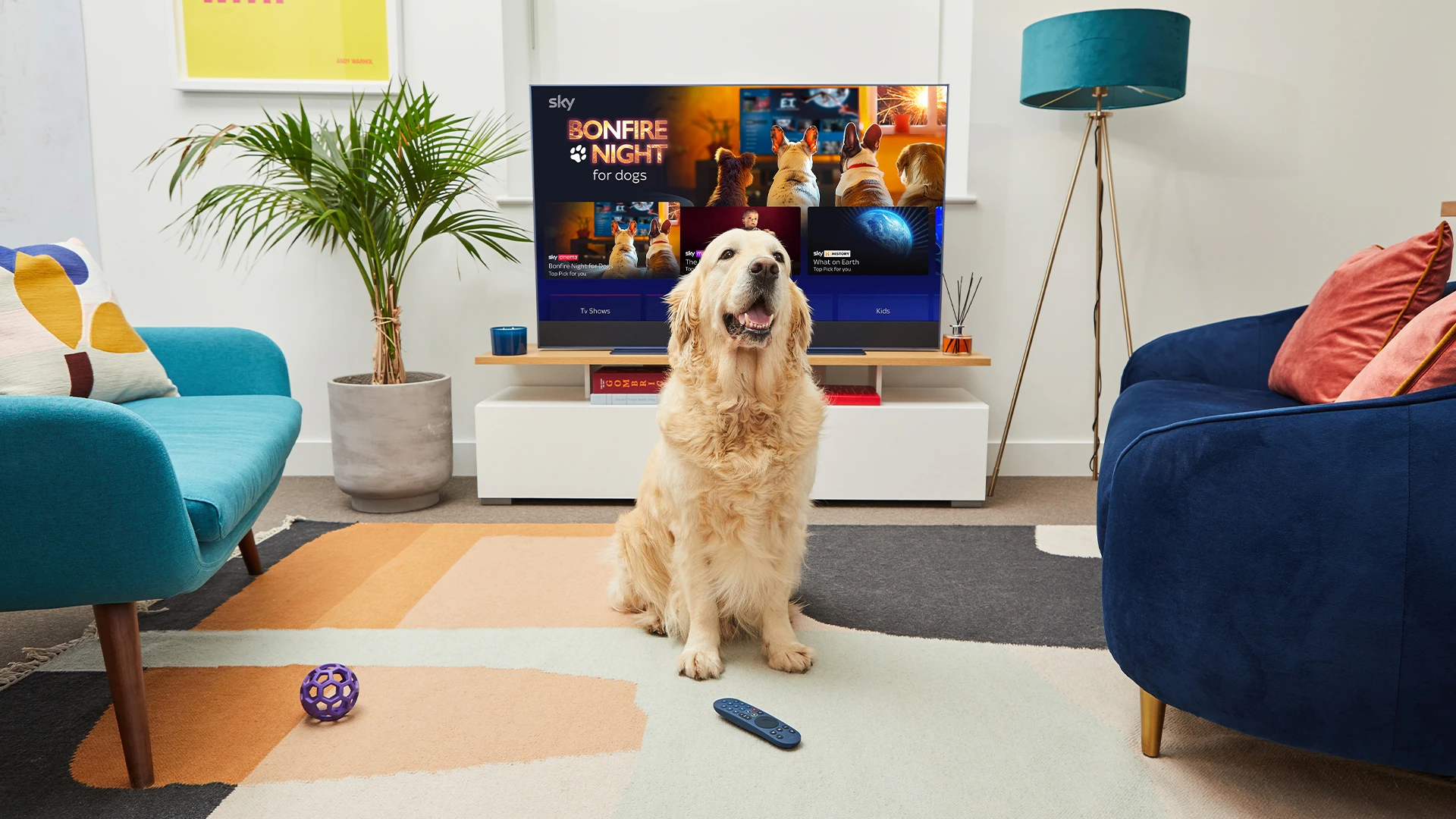 Sky and NOW Team Up with Dogs Trust to Launch Pop-Up Bonfire Night TV Channel for Anxious Pets