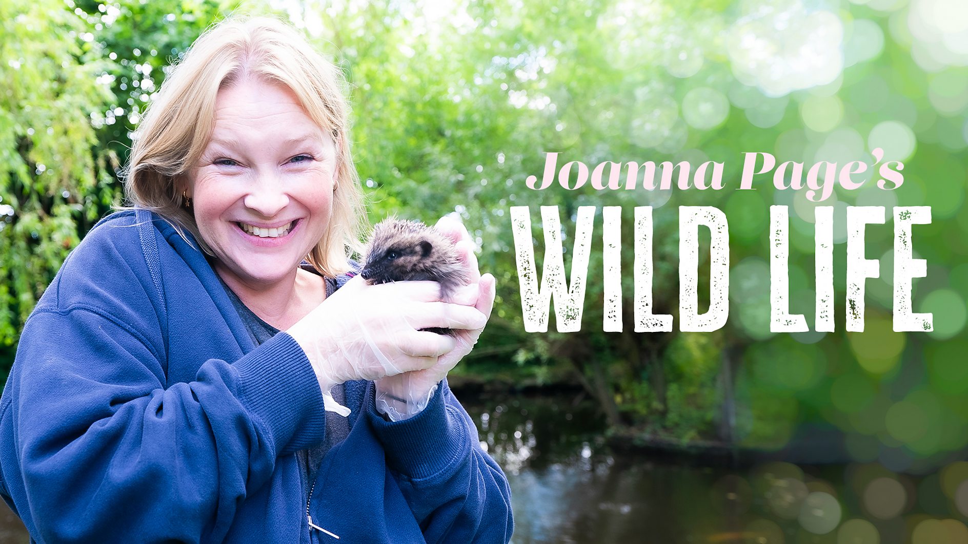 Joanna Page swaps home life for wildlife training as a rescue volunteer in brand new series - Jan 6